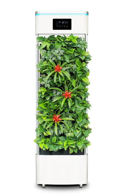 Обзор лучших очистителей воздуха для дома: рейтинг и советы по выбору