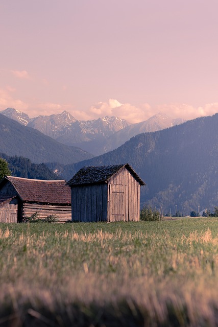 Плюсы и Минусы Жизни на Даче: Стоит ли Переезжать?
