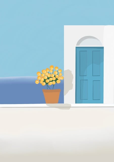 Уход за домашними растениями: полное руководство